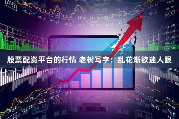 股票配资平台的行情 老树写字：乱花渐欲迷人眼